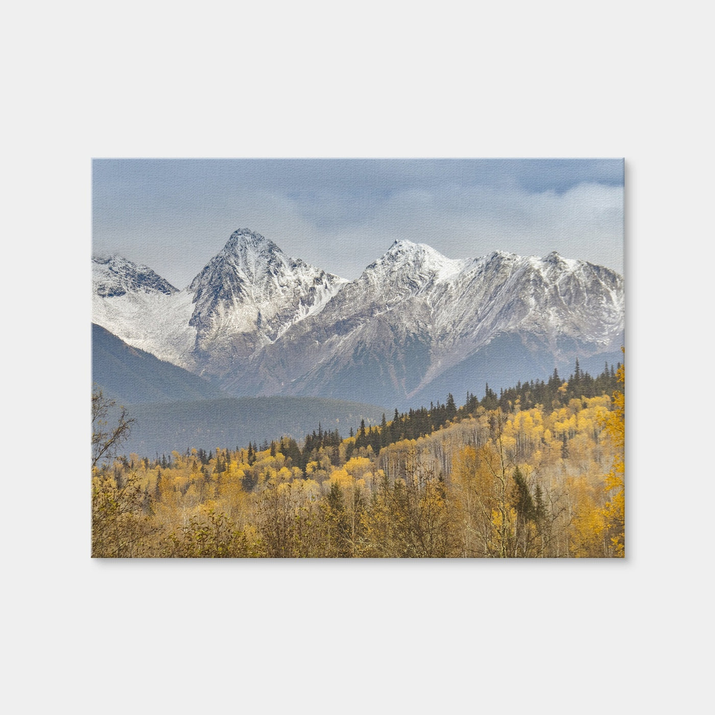 AUTO-MOCKUP WHITE | Fall Colors in Northern BC | 1 Piece | Gallery Wrap Canvas | group=4x3