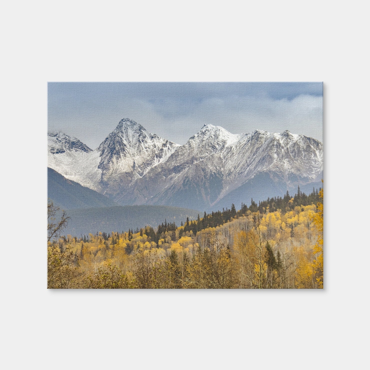 AUTO-MOCKUP WHITE | Fall Colors in Northern BC | 1 Piece | Gallery Wrap Canvas | group=4x3