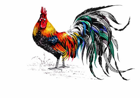Farm rooster Wall Art