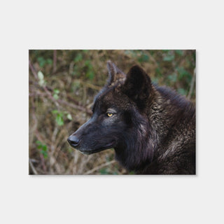 AUTO-MOCKUP WHITE | Female Black Wolf | 1 Piece | Gallery Wrap Canvas | group=4x3