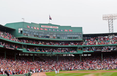 Fenway Field Wall Art
