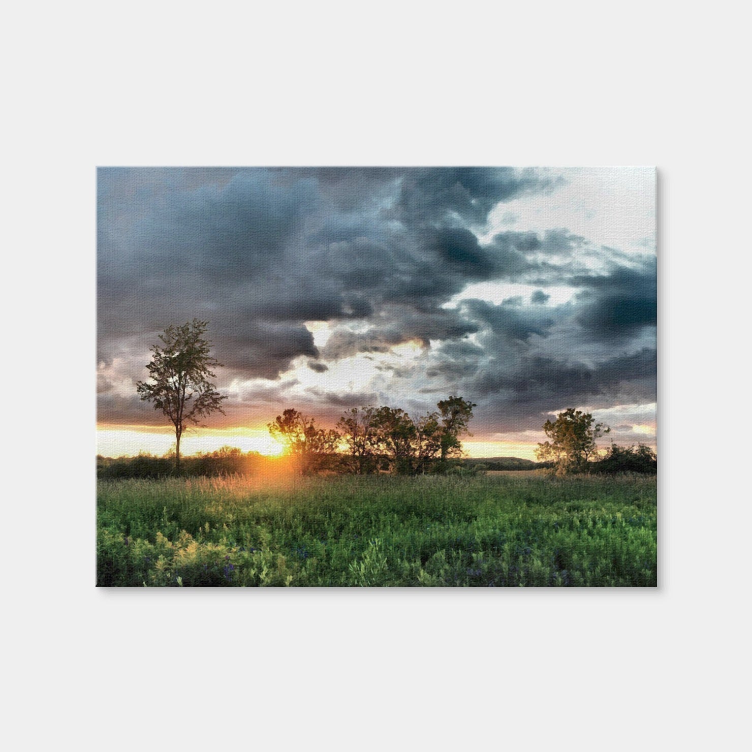 AUTO-MOCKUP WHITE | Field & Sunset | 1 Piece | Gallery Wrap Canvas | group=4x3