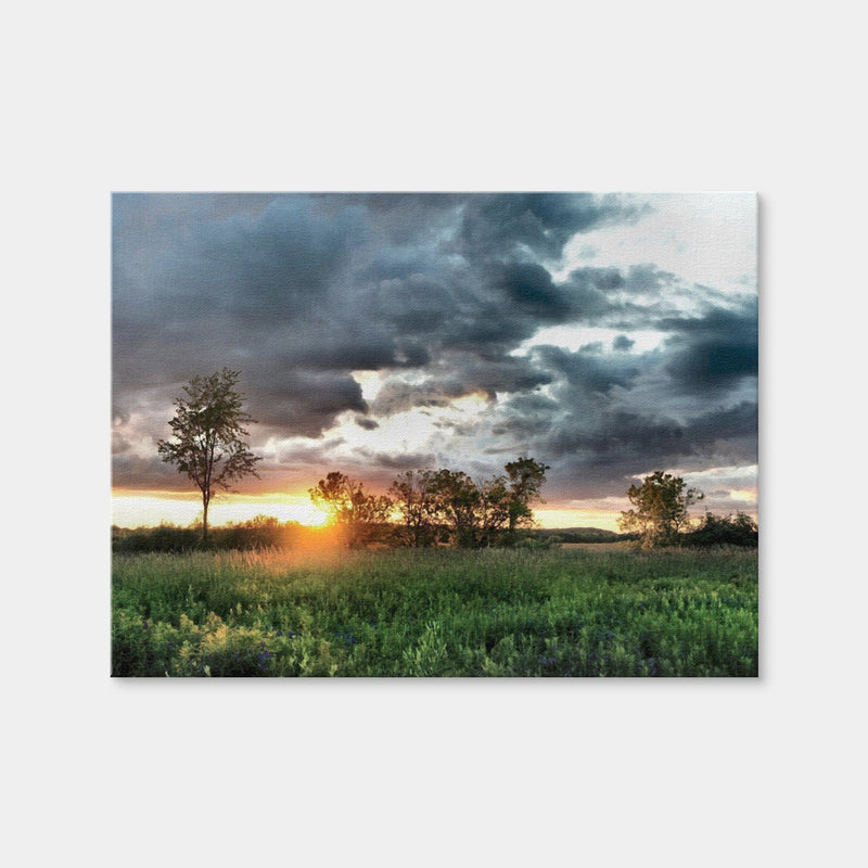 AUTO-MOCKUP WHITE | Field & Sunset | 1 Piece | Gallery Wrap Canvas | group=4x3