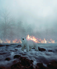 Fire and Ice Wall Art
