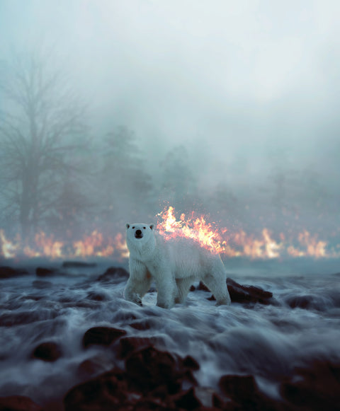 Fire and Ice Wall Art