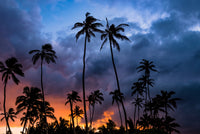 Fire in the Sky Wall Art