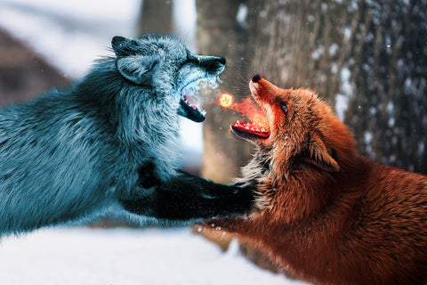 Fire vs Ice Wall Art