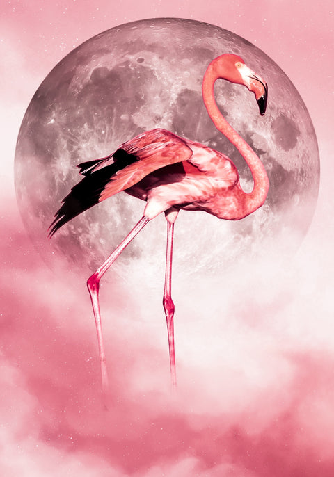 Flamingo Wall Art