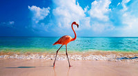 Flamingo On The Beach Wall Art