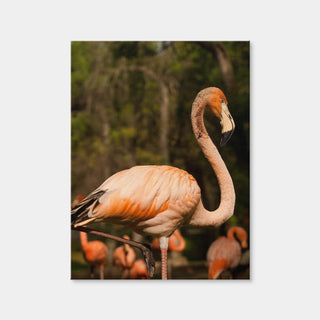 AUTO-MOCKUP WHITE | Flamingo Acrobat | 1 Piece | Gallery Wrap Canvas | group=3x4