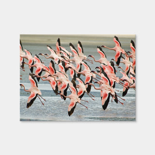 AUTO-MOCKUP WHITE | Flamingo's in Tanzania | 1 Piece | Gallery Wrap Canvas | group=4x3