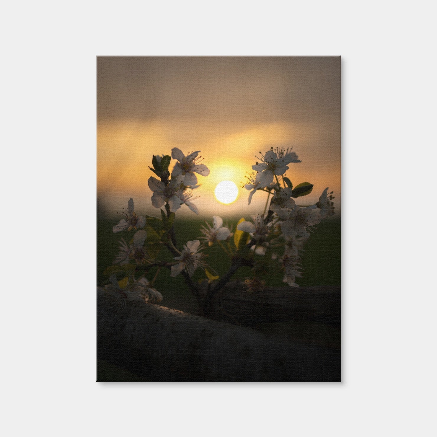AUTO-MOCKUP WHITE | Floral Sunset | 1 Piece | Gallery Wrap Canvas | group=3x4