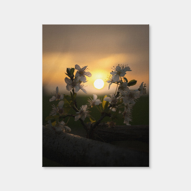 AUTO-MOCKUP WHITE | Floral Sunset | 1 Piece | Gallery Wrap Canvas | group=3x4