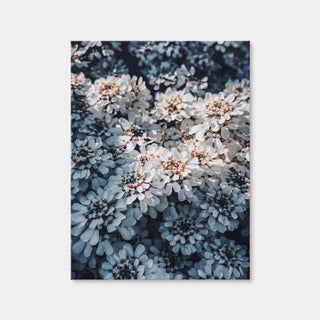 AUTO-MOCKUP WHITE | Flores | 1 Piece | Gallery Wrap Canvas | group=3x4