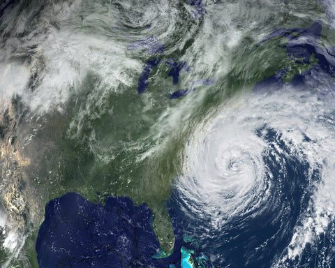 Florida Hurricane Wall Art