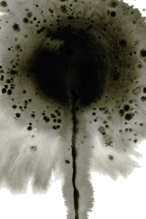 Flower Grey Spatter Wall Art