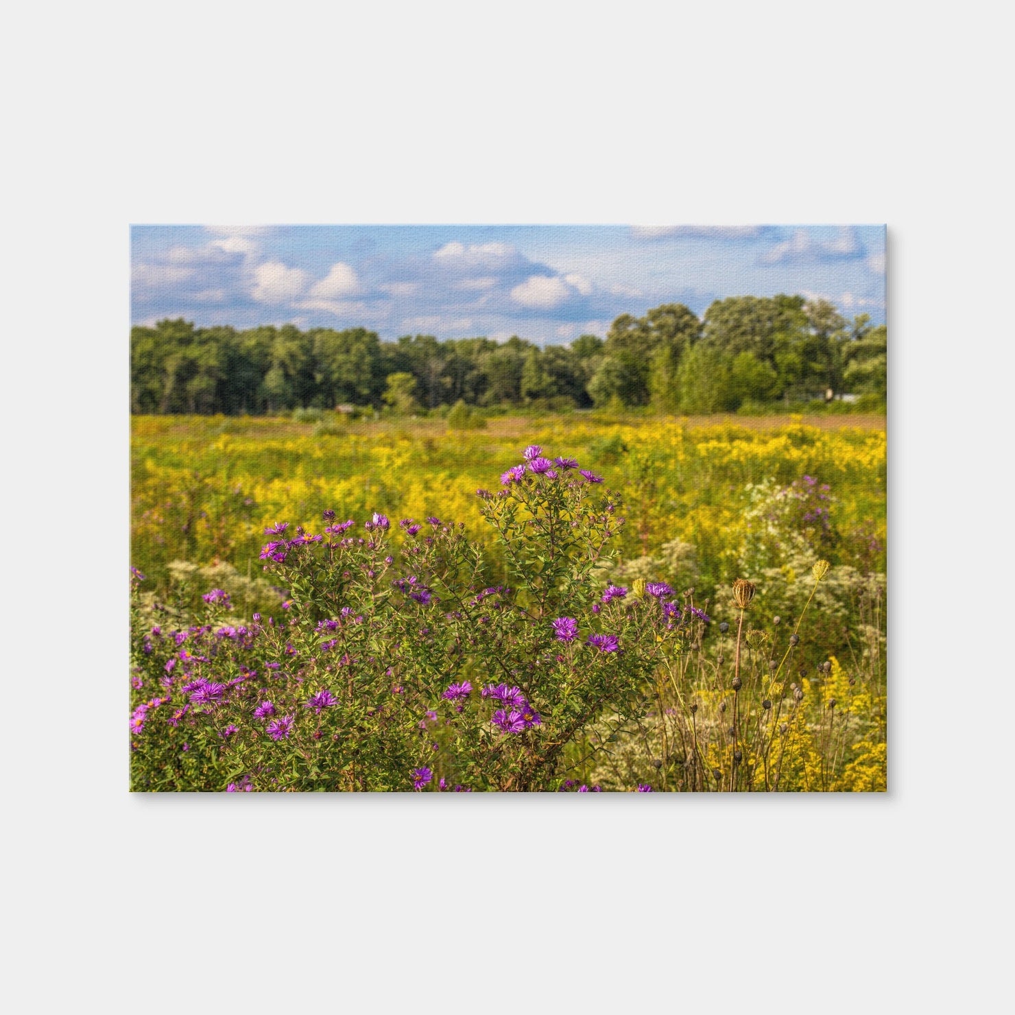 AUTO-MOCKUP WHITE | Flowering Prairie at Middlefork Savanna | 1 Piece | Gallery Wrap Canvas | group=4x3