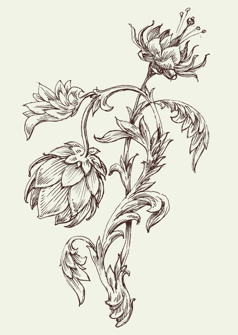 Flowers Sketch Wall Art
