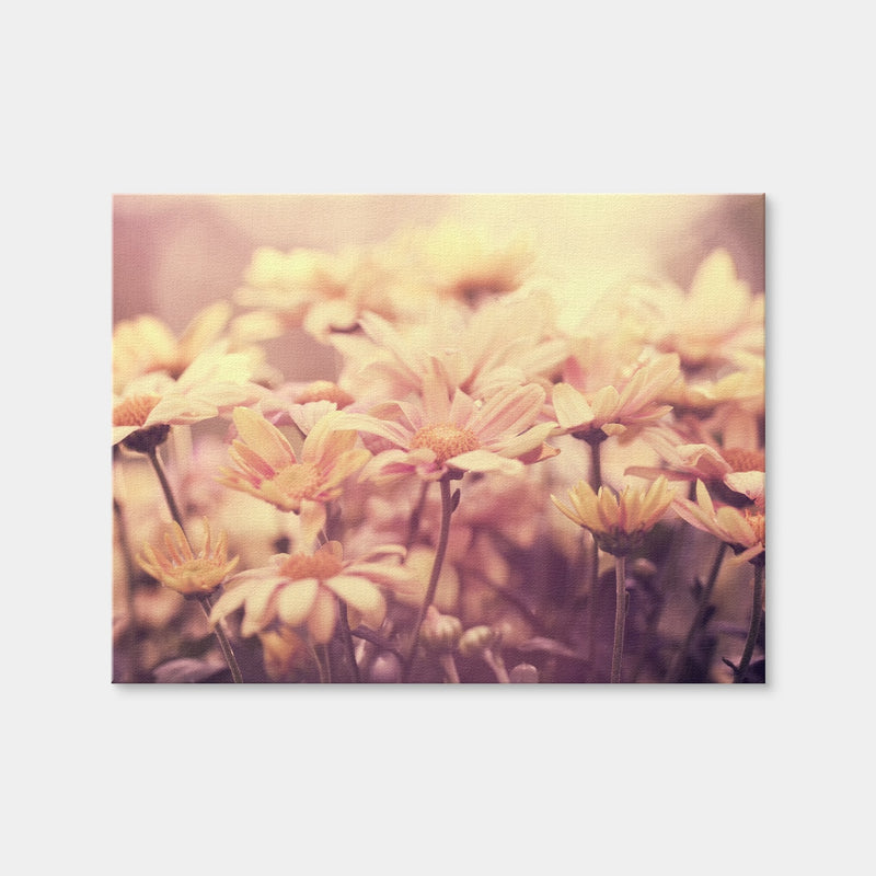 AUTO-MOCKUP WHITE | Flowers at Sunset | 1 Piece | Gallery Wrap Canvas | group=4x3