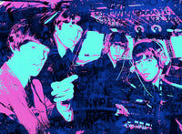 Fly Beatles Wall Art