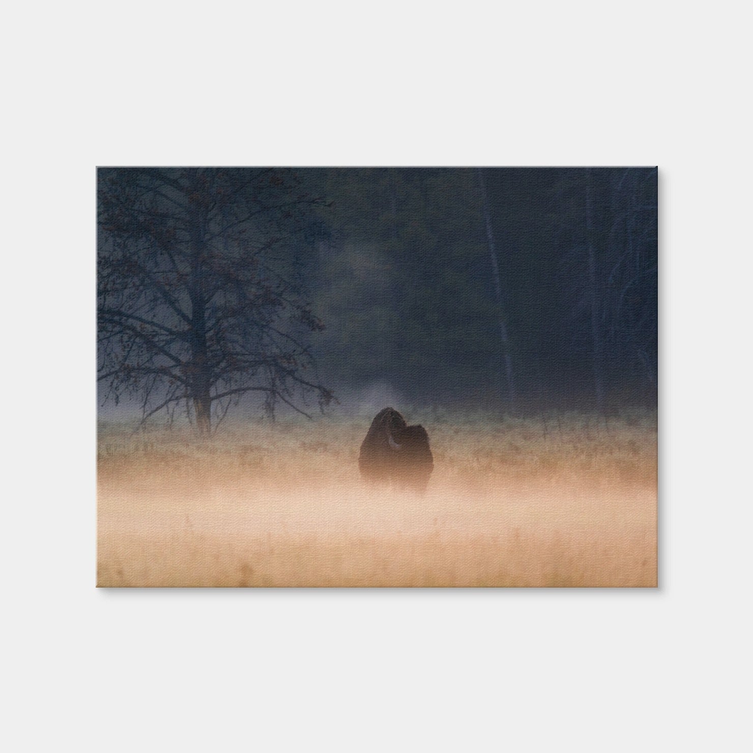 AUTO-MOCKUP WHITE | Foggy Morning | 1 Piece | Gallery Wrap Canvas | group=4x3