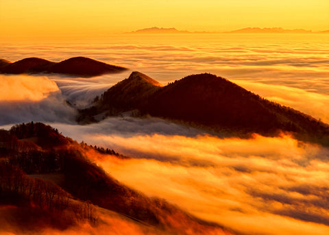 Foggy Sunset Wall Art