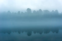 Foggy Tennessee Morning on the River Wall Art