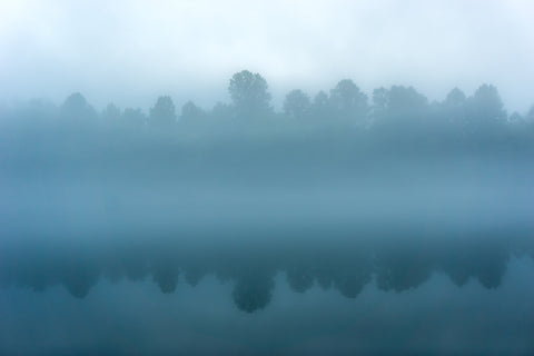 Foggy Tennessee Morning on the River Wall Art