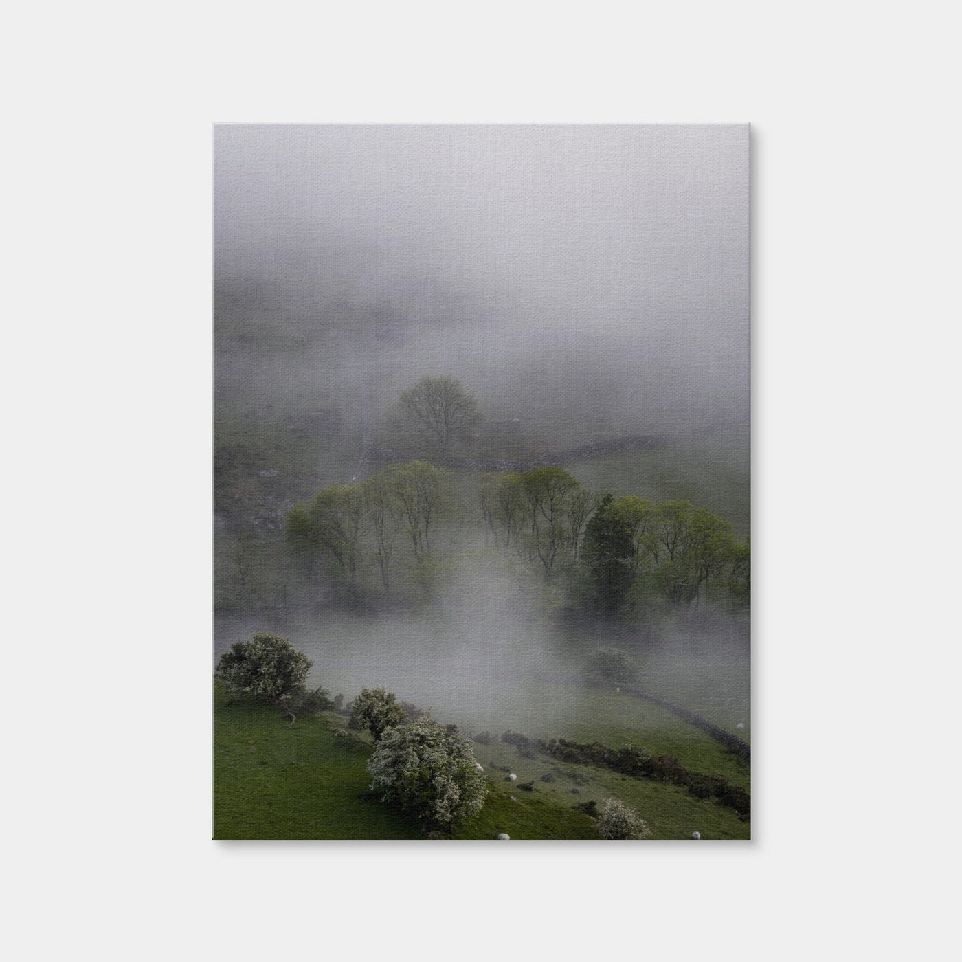 AUTO-MOCKUP WHITE | Foggy Trees | 1 Piece | Gallery Wrap Canvas | group=3x4