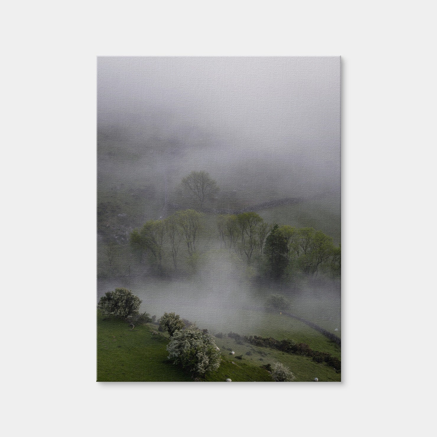 AUTO-MOCKUP WHITE | Foggy Trees | 1 Piece | Gallery Wrap Canvas | group=3x4