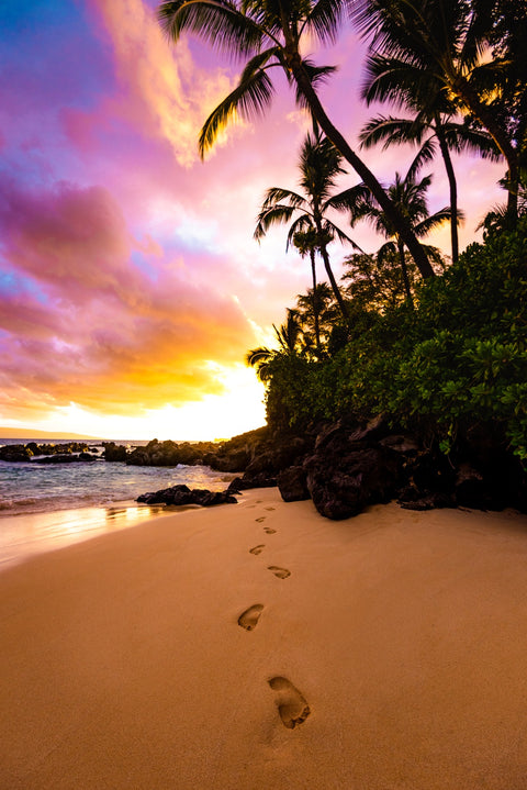 Footprints in the Sand Wall Art