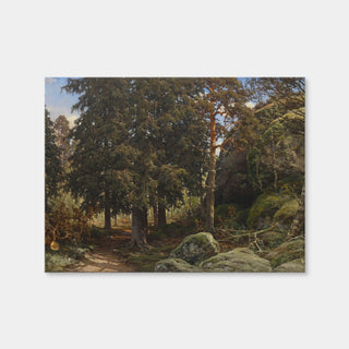 AUTO-MOCKUP WHITE | Forest Interior | 1 Piece | Gallery Wrap Canvas | group=4x3