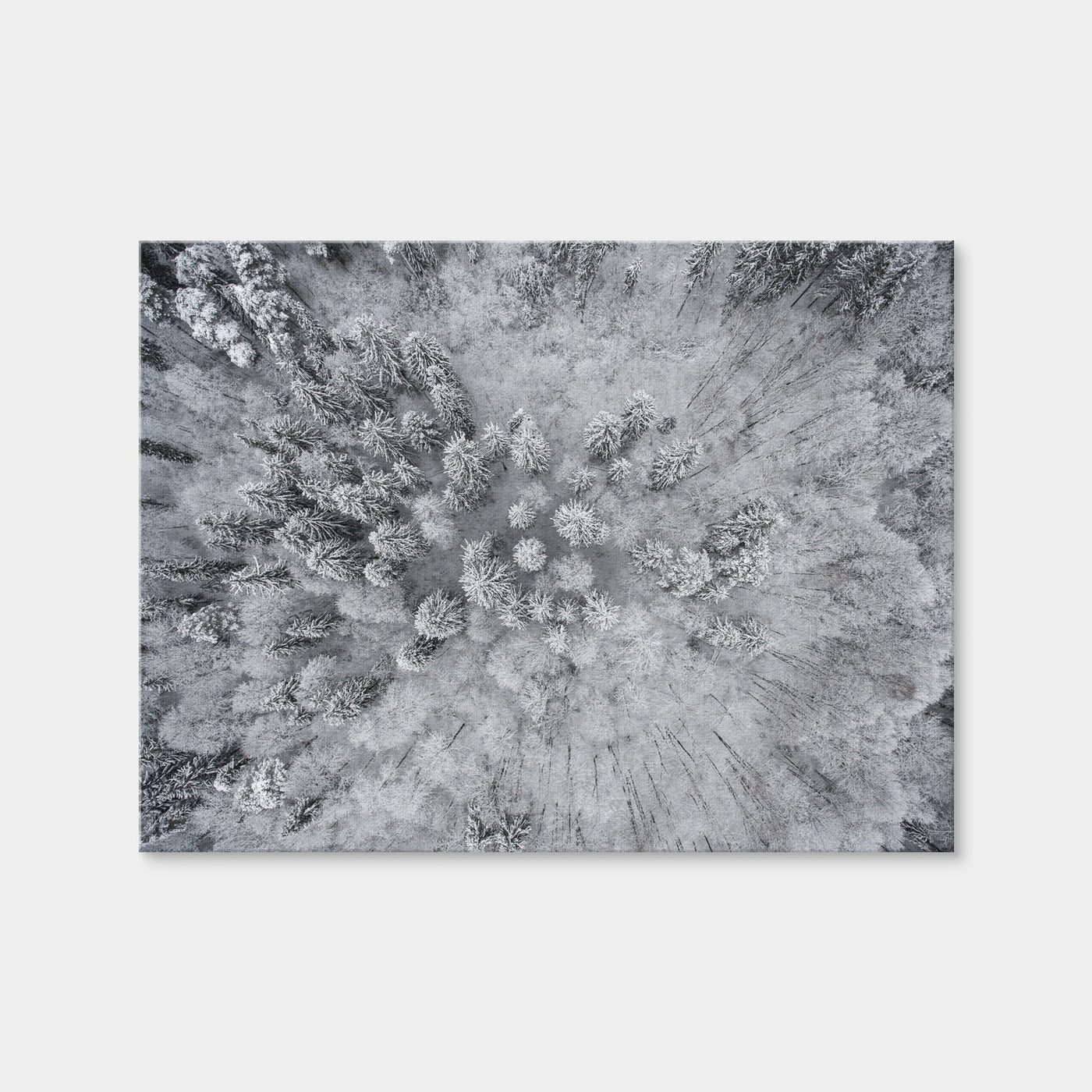 AUTO-MOCKUP WHITE | Forest Snow | 1 Piece | Gallery Wrap Canvas | group=4x3