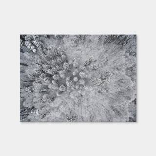 AUTO-MOCKUP WHITE | Forest Snow | 1 Piece | Gallery Wrap Canvas | group=4x3