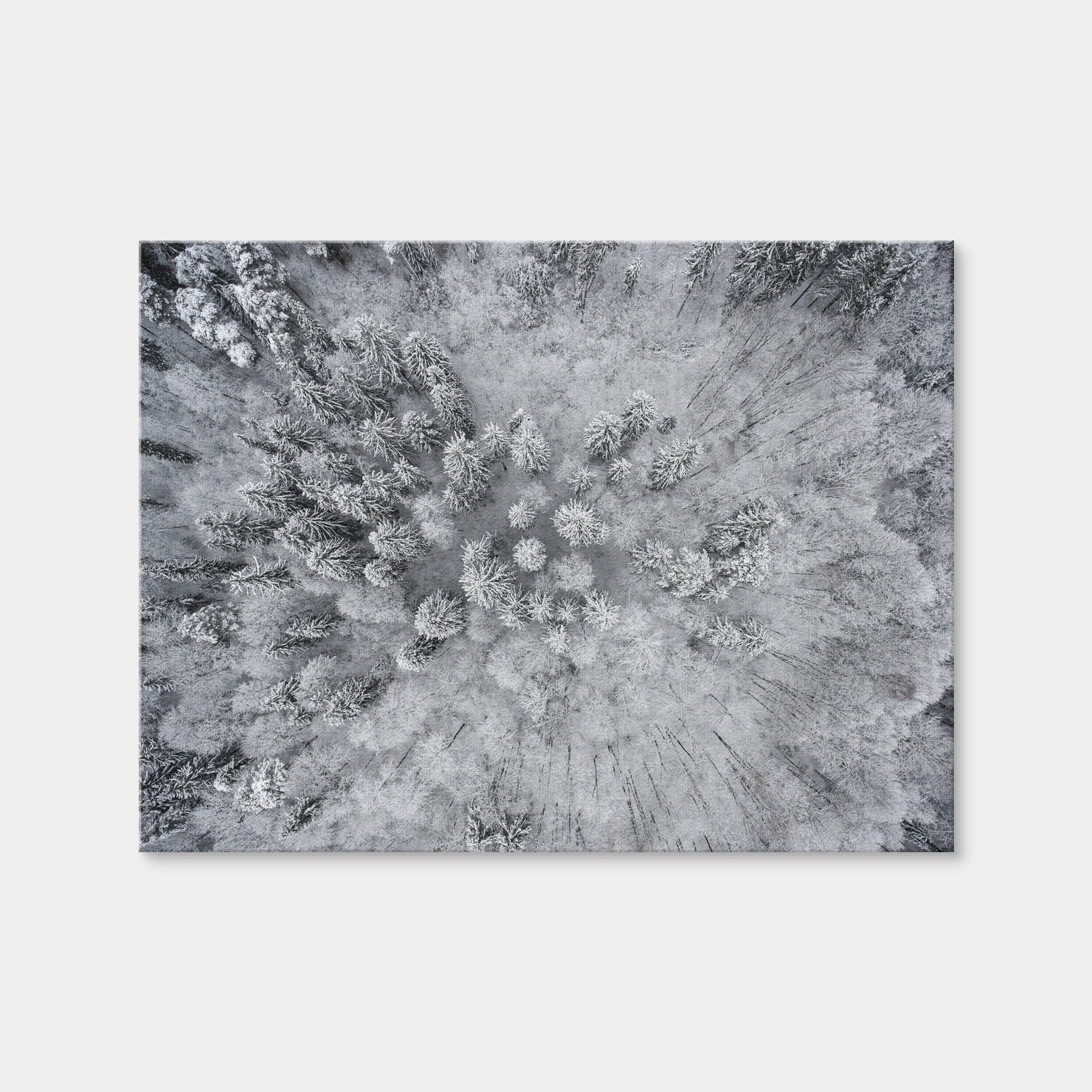 AUTO-MOCKUP WHITE | Forest Snow | 1 Piece | Gallery Wrap Canvas | group=4x3