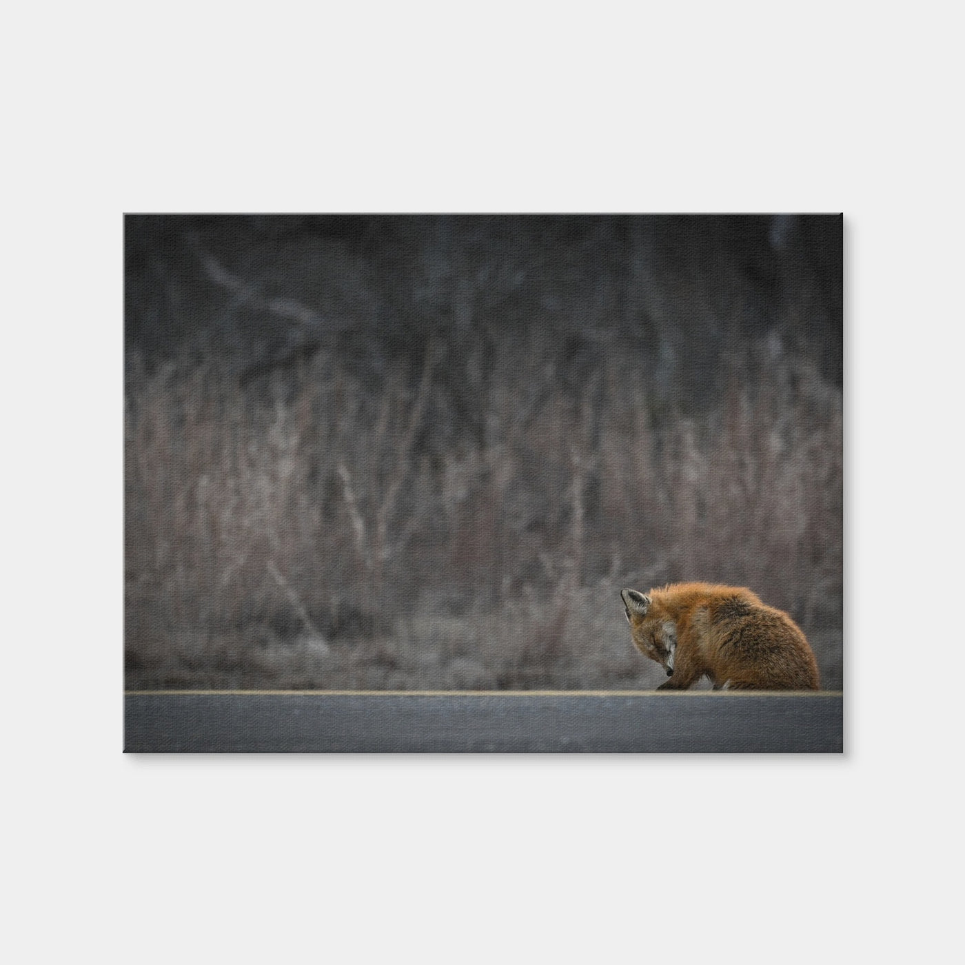 AUTO-MOCKUP WHITE | Fox Road | 1 Piece | Gallery Wrap Canvas | group=4x3