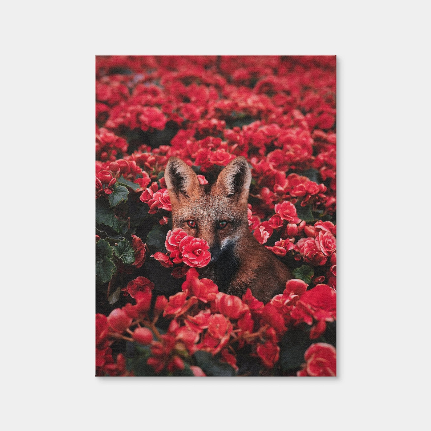 AUTO-MOCKUP WHITE | Fox and Flowers | 1 Piece | Gallery Wrap Canvas | group=3x4