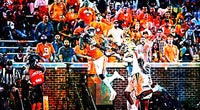 Frank Ladson Wall Art