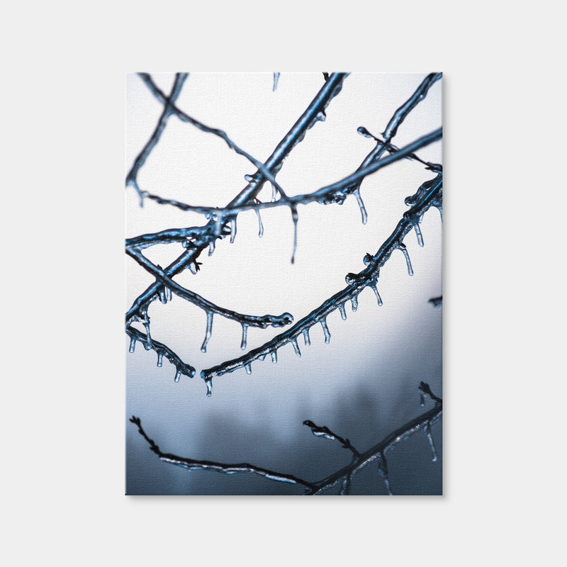 AUTO-MOCKUP WHITE | Frozen Virginia | 1 Piece | Gallery Wrap Canvas | group=3x4