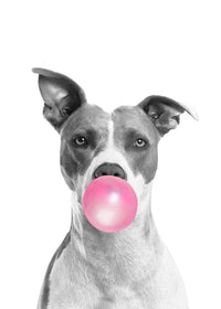 Funny Dog Wall Art