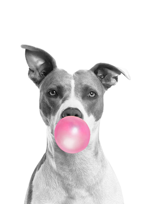 Funny Dog Wall Art
