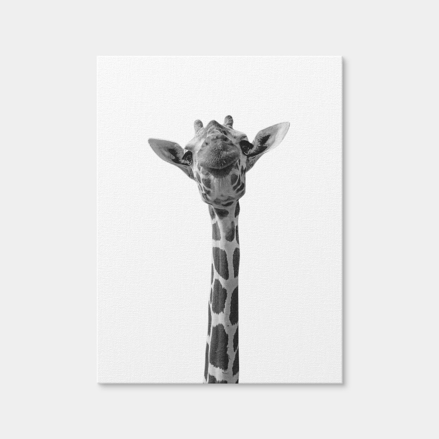 AUTO-MOCKUP WHITE | Funny Giraffe | 1 Piece | Gallery Wrap Canvas | group=3x4