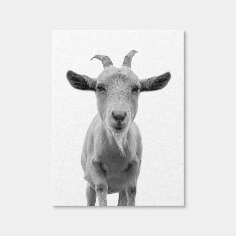 AUTO-MOCKUP WHITE | Funny Goat | 1 Piece | Gallery Wrap Canvas | group=3x4