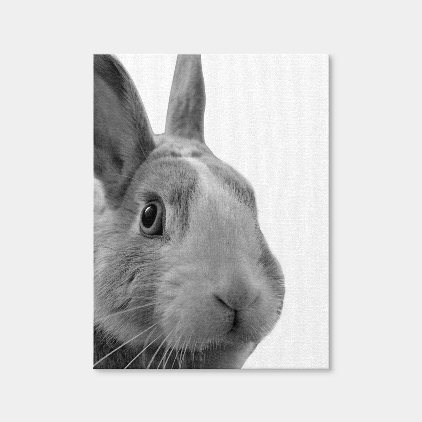 AUTO-MOCKUP WHITE | Funny Rabbit | 1 Piece | Gallery Wrap Canvas | group=3x4
