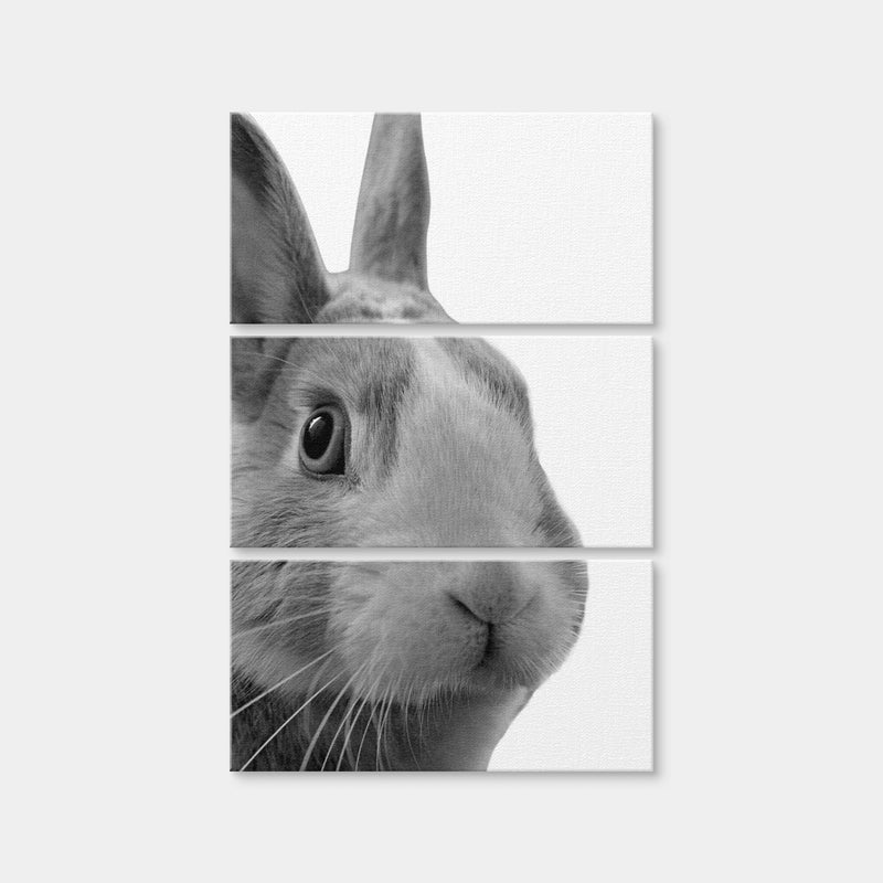 AUTO-MOCKUP WHITE | Funny Rabbit | 3 Piece | Gallery Wrap Canvas | group=12x24_stacked