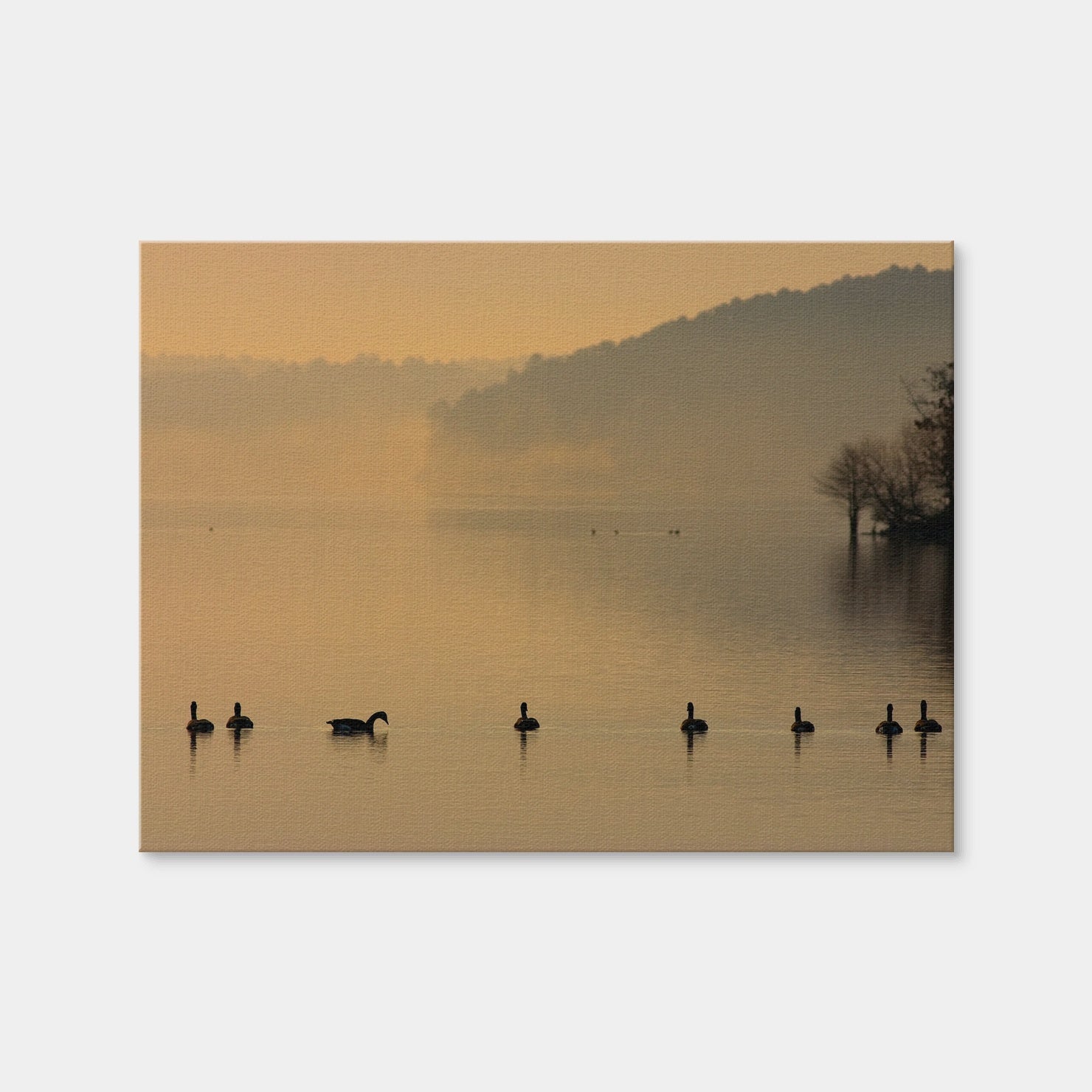 AUTO-MOCKUP WHITE | Geese on Lake Degray | 1 Piece | Gallery Wrap Canvas | group=4x3