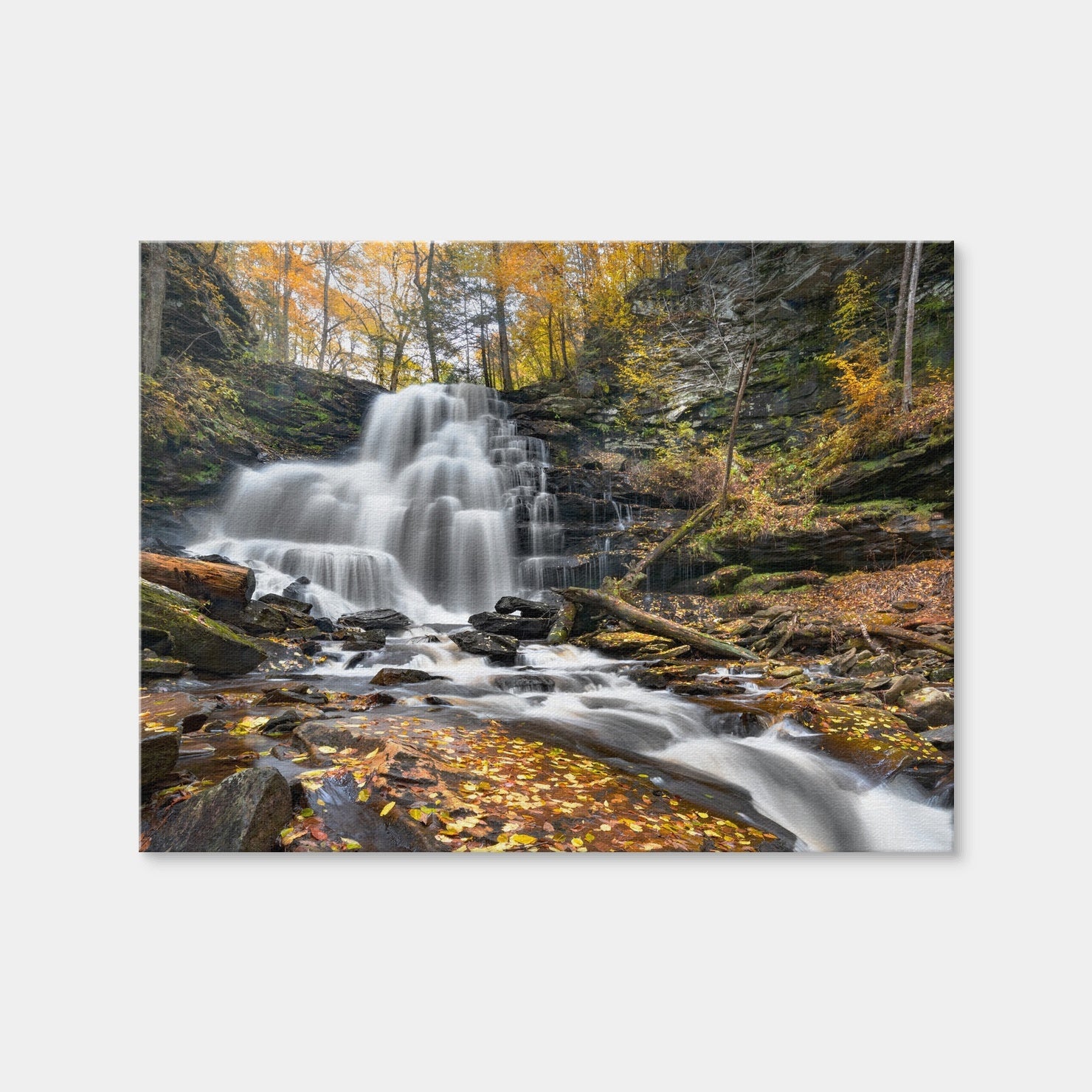 AUTO-MOCKUP WHITE | Glass Half Full | 1 Piece | Gallery Wrap Canvas | group=4x3
