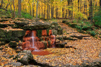 Glen Helen Nature Preserve Wall Art