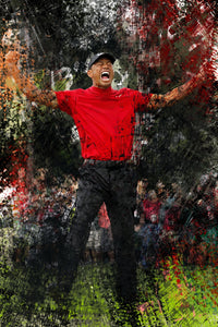 Go Tiger Wall Art