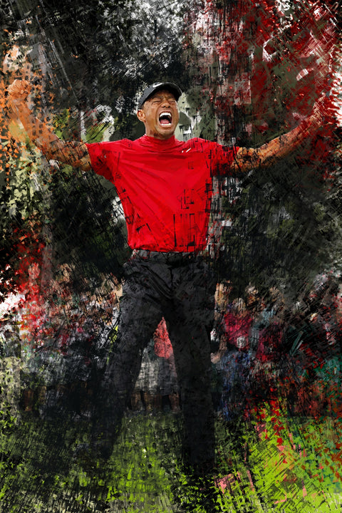 Go Tiger Wall Art
